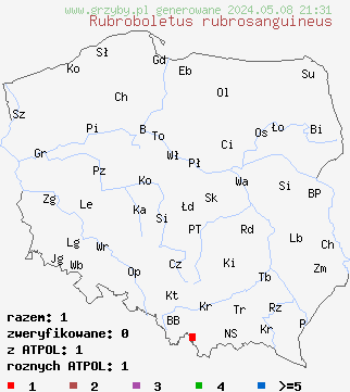 znaleziska Rubroboletus rubrosanguineus (krwistoborowik świerkowo-jodłowy) na terenie Polski
