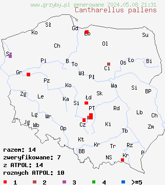 znaleziska Cantharellus pallens (pieprznik blady) na terenie Polski