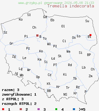 znaleziska Tremella indecorata (trzęsak szpetny) na terenie Polski