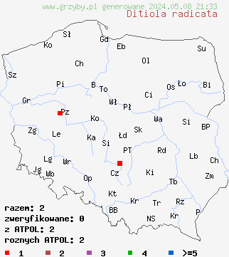 znaleziska Ditiola radicata (łzawniczka korzeniasta) na terenie Polski