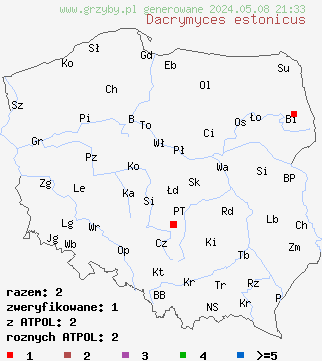 znaleziska Dacrymyces estonicus (łzawnik estoński) na terenie Polski