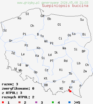 znaleziska Guepiniopsis buccina (kieliszkówka trąbkowata) na terenie Polski
