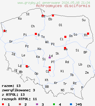 znaleziska Achroomyces disciformis (płaskolepek poduszeczkowaty) na terenie Polski