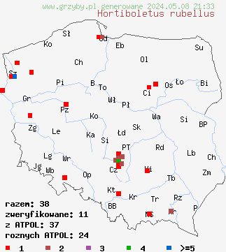 znaleziska Hortiboletus rubellus (parkogrzybek czerwonawy) na terenie Polski