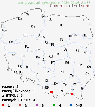 znaleziska Cudonia circinans (hełmik okrągławy) na terenie Polski