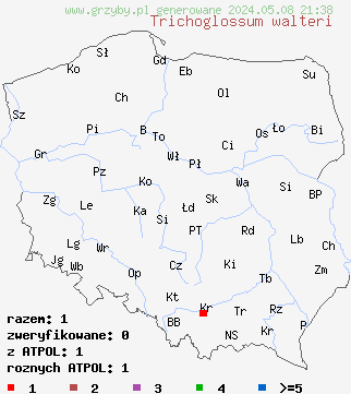znaleziska Trichoglossum walteri (włosojęzyk krótkozarodnikowy) na terenie Polski