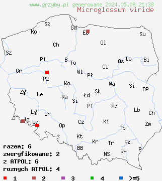 znaleziska Microglossum viride (małozorek zielony) na terenie Polski
