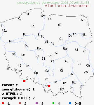 znaleziska Vibrissea truncorum (włosóweczka nadrzewna) na terenie Polski