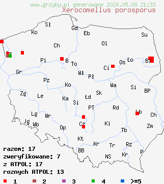 znaleziska Xerocomellus porosporus (suchogrzybek obciętozarodnikowy) na terenie Polski