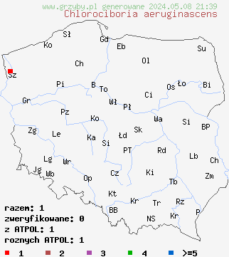znaleziska Chlorociboria aeruginascens (chlorówka drobna) na terenie Polski