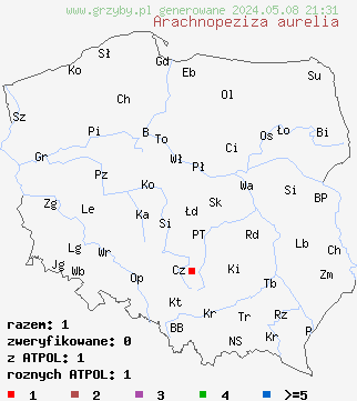 znaleziska Arachnopeziza aurelia (pajęczynkokustrzebka złotożółta) na terenie Polski