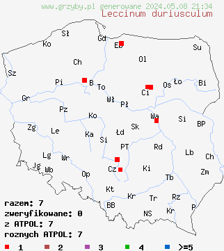 znaleziska Leccinum duriusculum (koźlarz topolowy) na terenie Polski