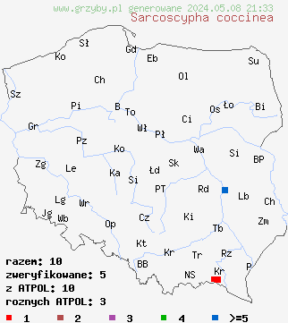znaleziska Sarcoscypha coccinea (czarka szkarłatna) na terenie Polski
