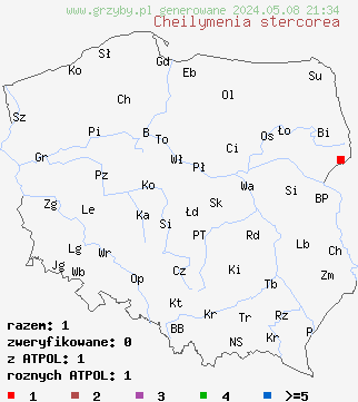 znaleziska Cheilymenia stercorea (włośniczka nawozowa) na terenie Polski