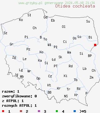 znaleziska Otidea cochleata (uchówka ślimakowata) na terenie Polski