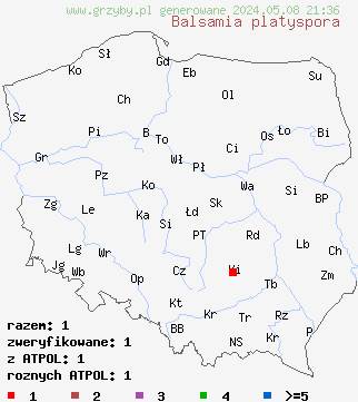 znaleziska Balsamia platyspora (balsamka szerokozarodnikowa) na terenie Polski