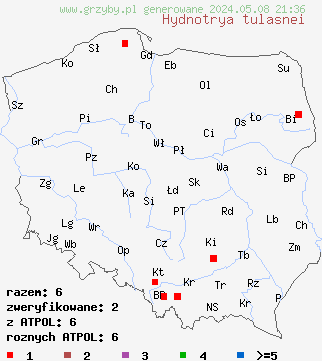 znaleziska Hydnotrya tulasnei (truflica kasztanowata) na terenie Polski