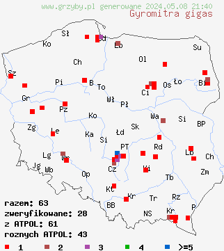 znaleziska Gyromitra gigas (piestrzenica olbrzymia) na terenie Polski