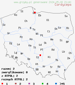 znaleziska Cordyceps (maczużnik) na terenie Polski