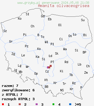 znaleziska Amanita olivaceogrisea (muchomor oliwkowoszary) na terenie Polski