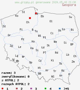 znaleziska Geopora (zagrzebka) na terenie Polski