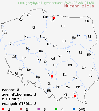 znaleziska Mycena picta (grzybówka złotobrzega) na terenie Polski