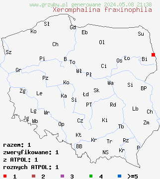 znaleziska Xeromphalina fraxinophila na terenie Polski