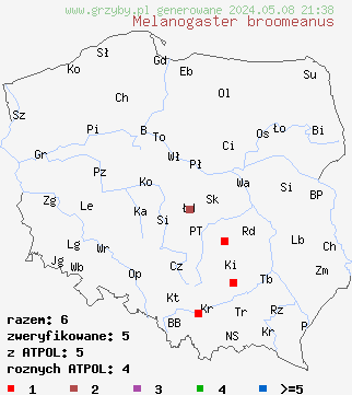 znaleziska Melanogaster broomeanus (czarnobrzuszek drobnozarodnikowy) na terenie Polski