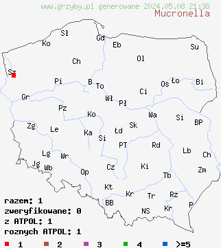 znaleziska Mucronella (drobnokolec) na terenie Polski
