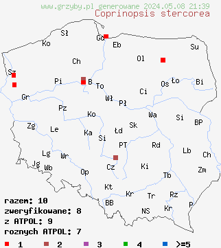 znaleziska Coprinopsis stercorea (czernidłak łajnowy) na terenie Polski