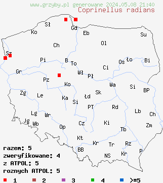 znaleziska Coprinellus radians (czernidłak brodawkowany) na terenie Polski