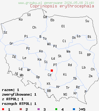 znaleziska Coprinopsis erythrocephala (czernidłak różowawy) na terenie Polski
