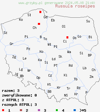 znaleziska Russula roseipes (gołąbek różowotrzonowy) na terenie Polski