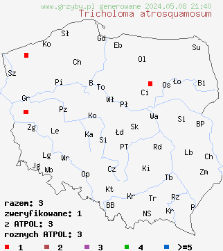 znaleziska Tricholoma atrosquamosum (gąska czarnołuskowa) na terenie Polski