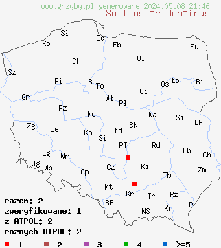 znaleziska Suillus tridentinus (maślak trydencki) na terenie Polski