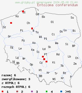 znaleziska Entoloma conferendum (dzwonkówka gwiaździstozarodnikowa) na terenie Polski