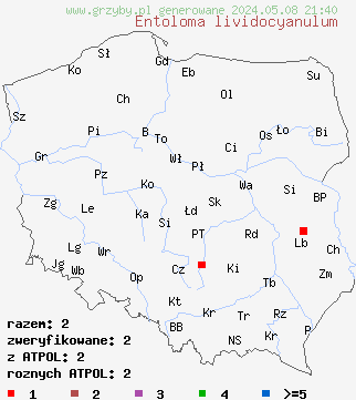 znaleziska Entoloma lividocyanulum (dzwonkówka błyszcząca) na terenie Polski
