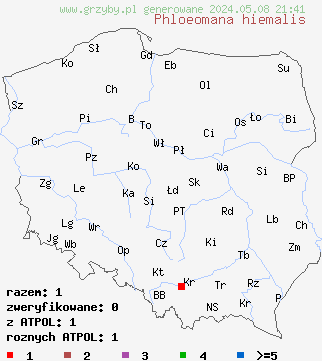 znaleziska Phloeomana hiemalis (grzybówka zimowa) na terenie Polski