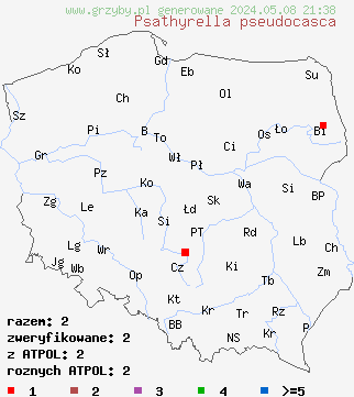 znaleziska Psathyrella pseudocasca (kruchaweczka pniakowa) na terenie Polski
