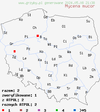 znaleziska Mycena mucor (grzybówka pofałdowana) na terenie Polski