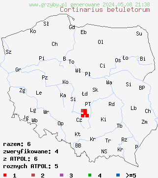 znaleziska Cortinarius betuletorum (zasłonak rzodkiewkowy) na terenie Polski