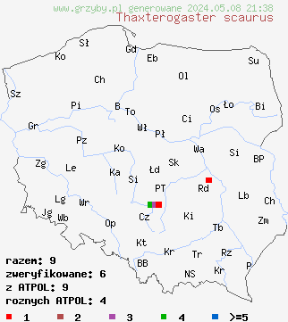 znaleziska Thaxterogaster scaurus (zasłonak zielonofioletowy) na terenie Polski