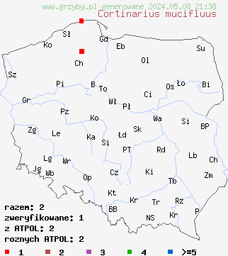 znaleziska Cortinarius mucifluus (zasłonak śluzakowaty) na terenie Polski