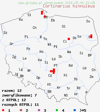 znaleziska Cortinarius hinnuleus (zasłonak sarni) na terenie Polski