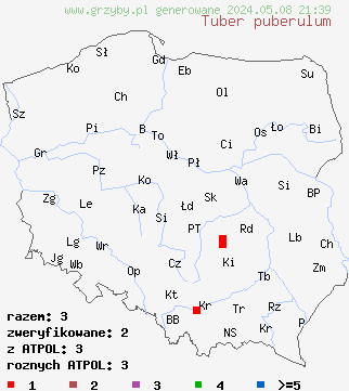 znaleziska Tuber puberulum (trufla omszona) na terenie Polski