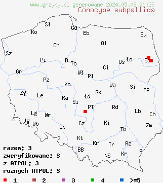 znaleziska Conocybe subpallida (stożkówka bladawa) na terenie Polski