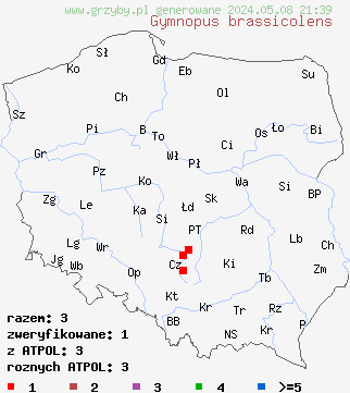 znaleziska Gymnopus brassicolens (łysostopek kapuściany) na terenie Polski
