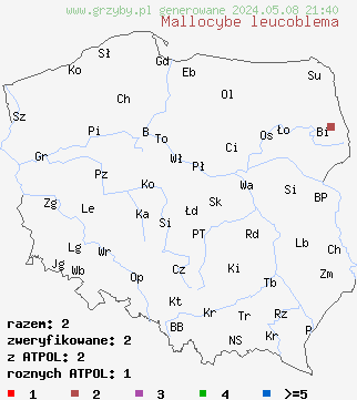 znaleziska Mallocybe leucoblema (włośniak srebrzystoosłonowy) na terenie Polski