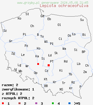 znaleziska Lepiota ochraceofulva (czubajeczka rdzawobrązowa) na terenie Polski