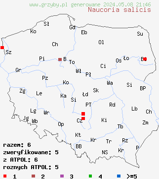 znaleziska Naucoria salicis (olszóweczka wierzbowa) na terenie Polski